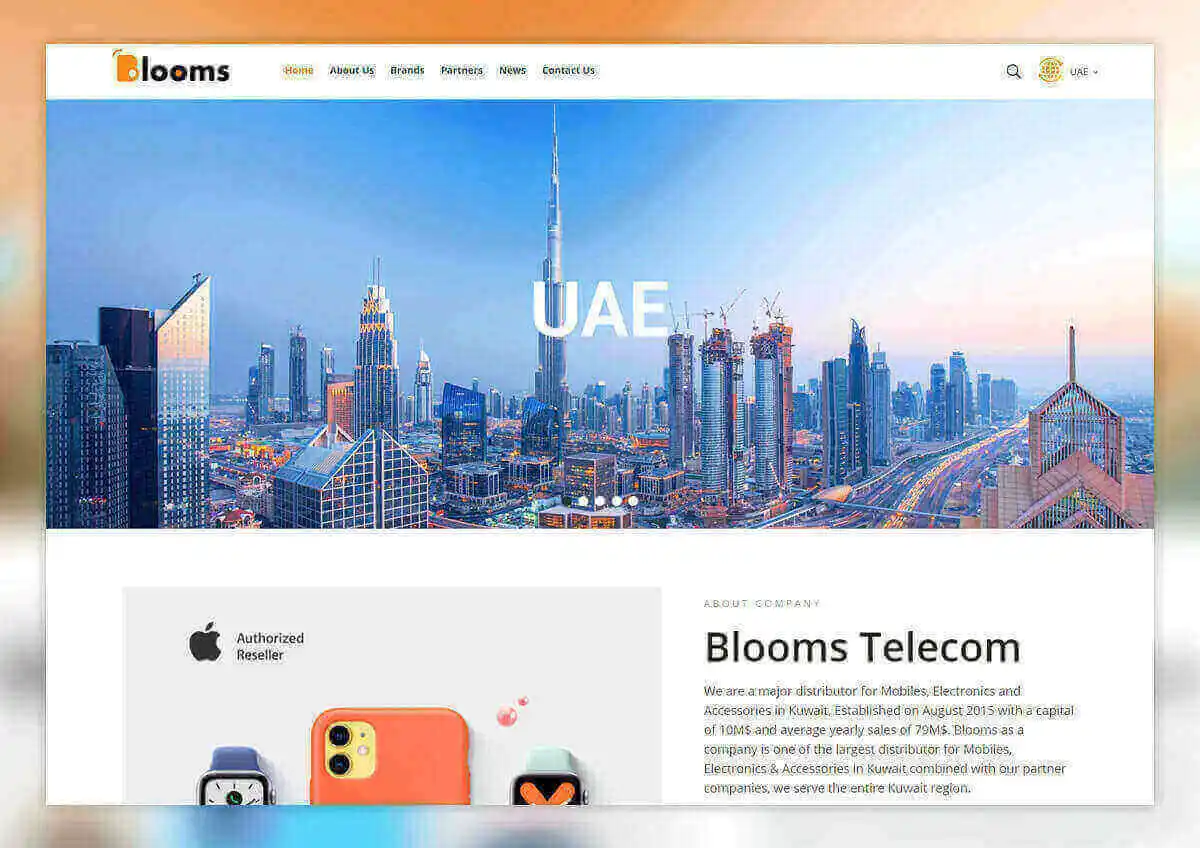 Best Dynamic Website Design in Kuwait, Saudi