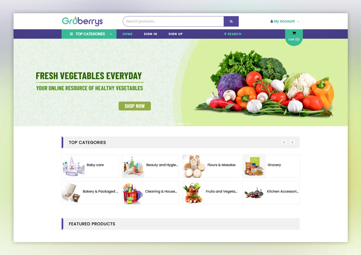 Multi Store Ecommerce Website Development in Kochi, Cochin